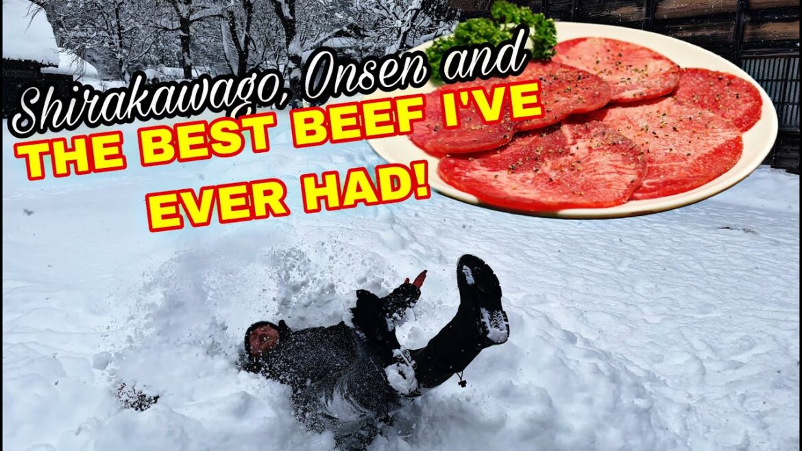 The views of Shirakawago, An Onsen in minus temperatures the BEST BEEF I'VE EVER HAD!!