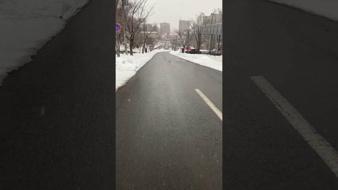 Travel, Sapporo, Hokkaido, Japan, 2023. Japan Travel Travel, Sapporo, Hokkaido, Japan, 2023. Japan Travel