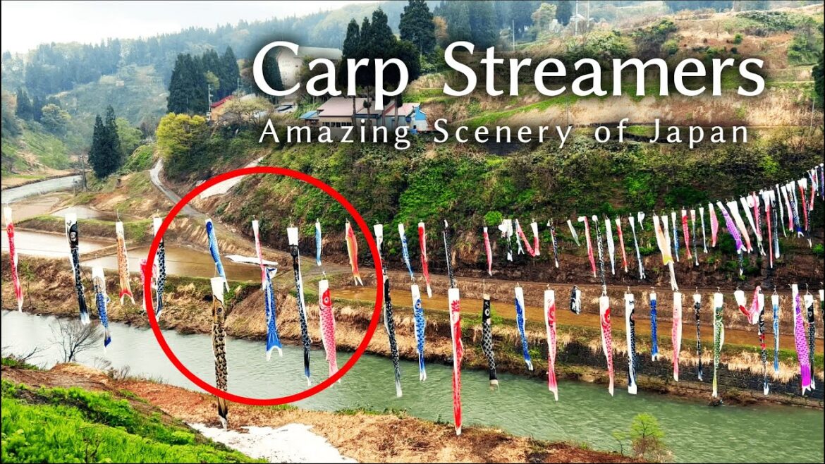 Japanese carp streamers are artistic and beautiful | Niigata, Japan