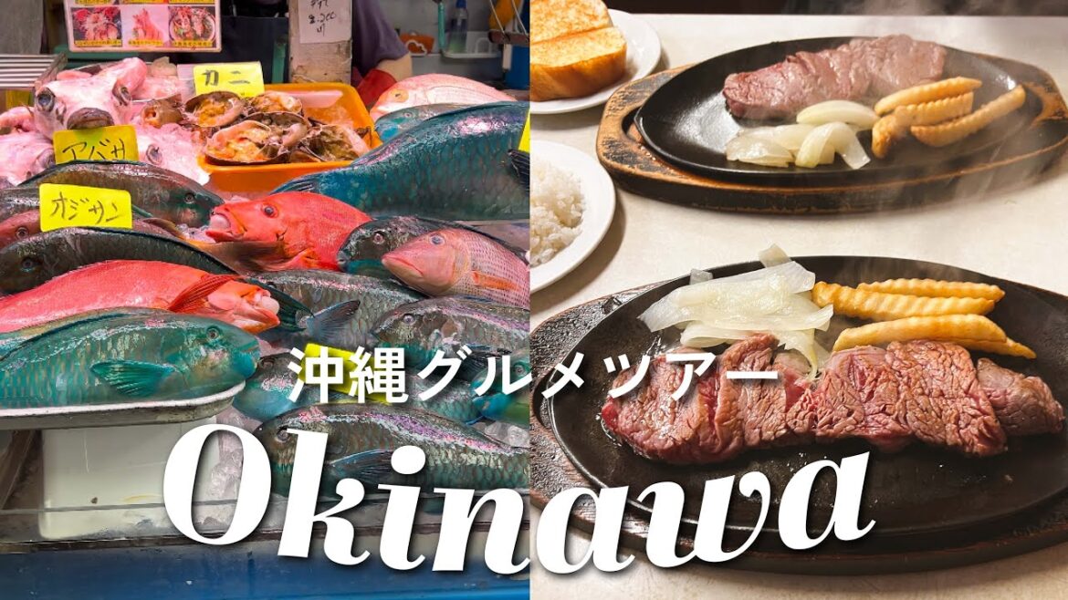 #那覇 正直レポ沖縄グルメツアー🌴Vlog [牧志公設市場,ジャッキーステーキハウス,国際通り] DAY2【沖縄旅行】アフレコ&字幕