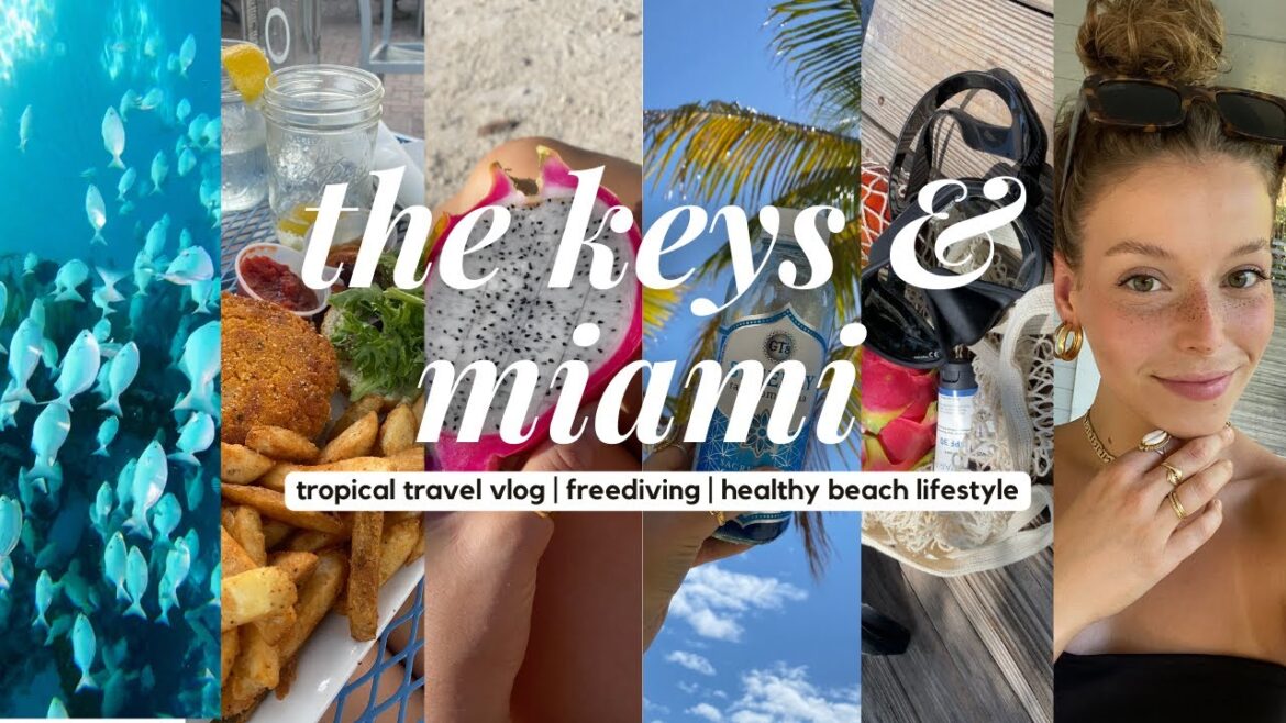 MIAMI +FLORIDA KEYS 🌴🐚  FREEDIVING | tropical travel adventure vlog