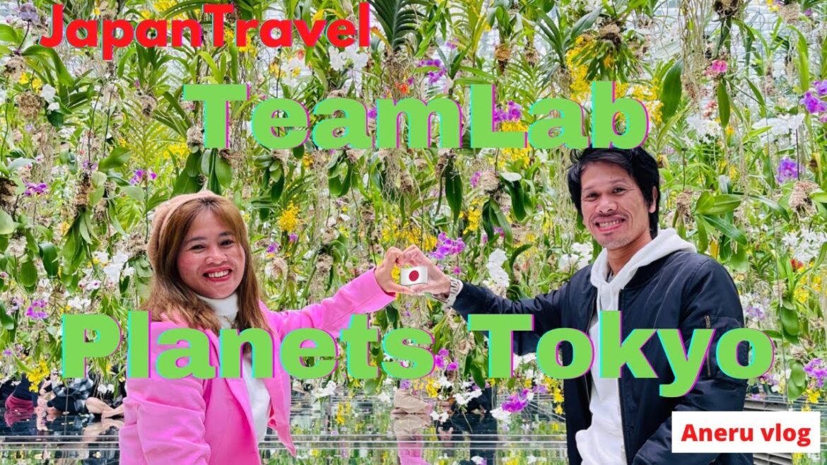 Ditchie Lost in Tokyo🇯🇵 Japan travel 2022 . The best place in Tokyo TeamLab Planets Tokyo🇯🇵