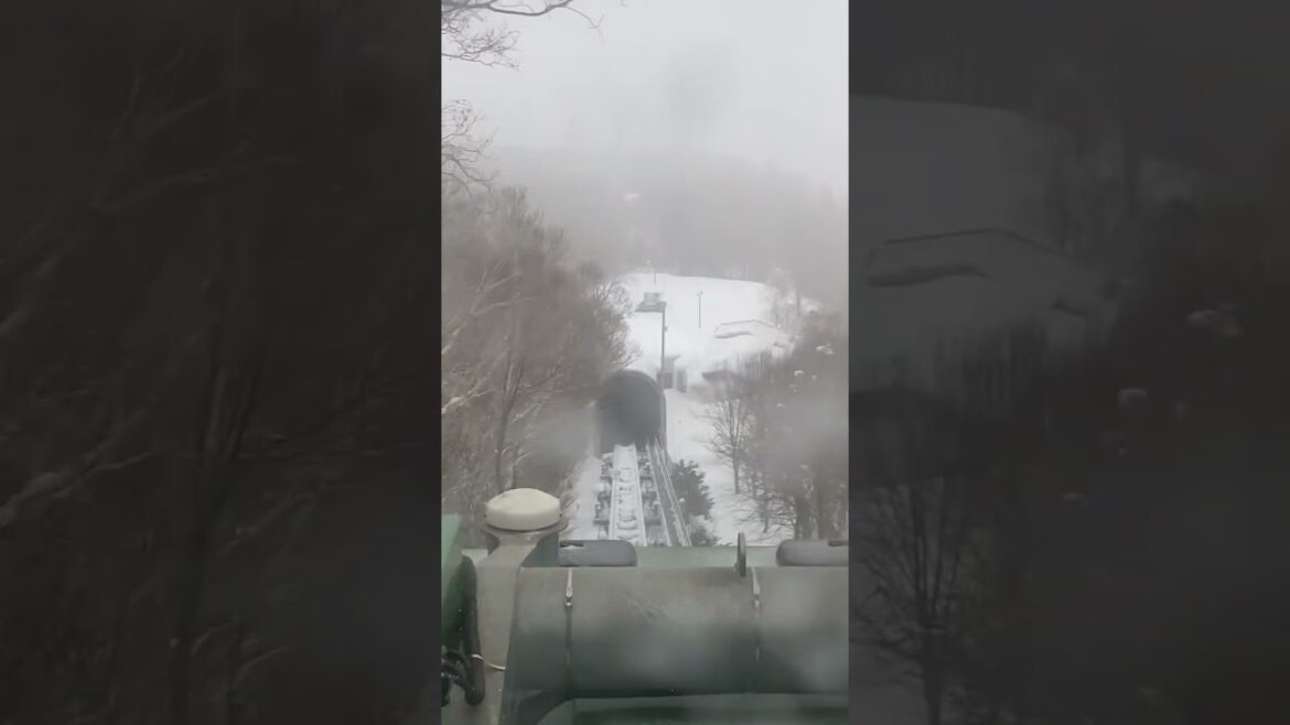 Travel, Sapporo, Hokkaido, Japan, 2023. Japan Travel Travel, Sapporo, Hokkaido, Japan, 2023. Japan Travel