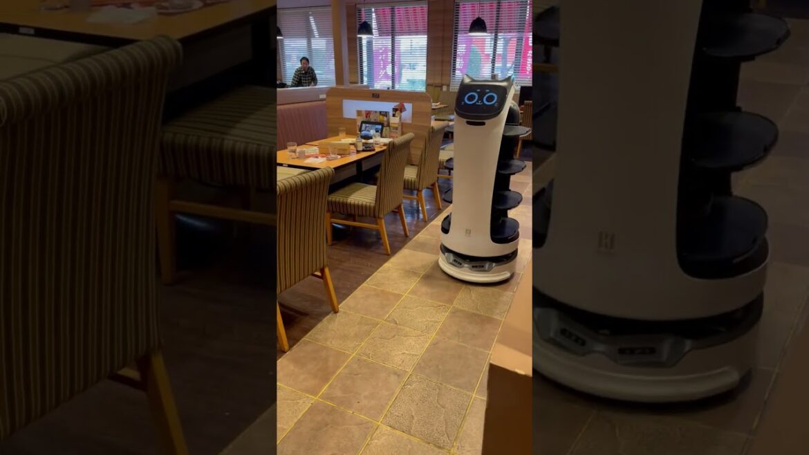 Japan Travel ๐ฅ Amazing Cat Robot Delights Customers at Japanese Restaurants Japan Travel ๐ฅ Amazing Cat Robot Delights Customers at Japanese Restaurants