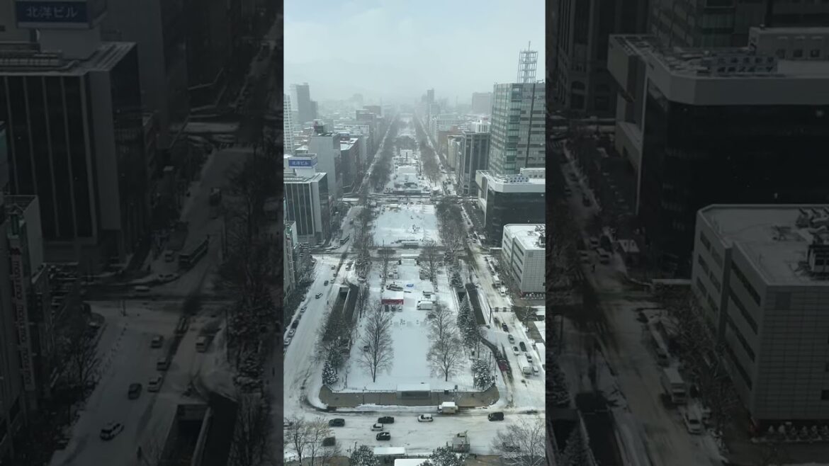 Travel, Sapporo, Hokkaido, Japan, 2023. Japan Travel