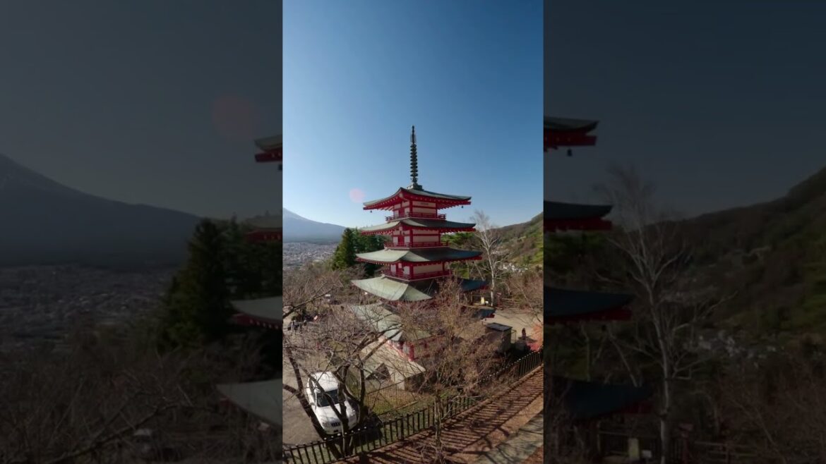 Camera/ Gimbal Freaking Out!