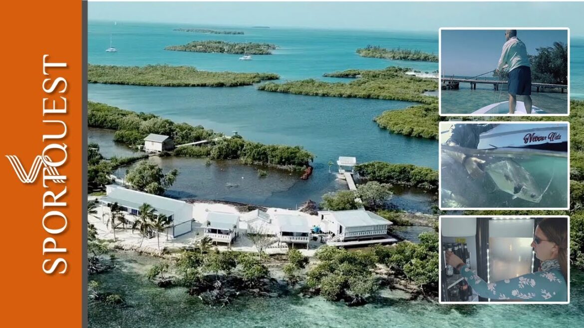 Permit Fly Fishing At Blue Horizon Lodge, Belize Permit Fly Fishing At Blue Horizon Lodge, Belize