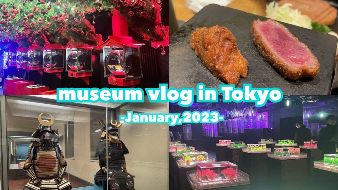 【Tokyo Vlog】Tokyo Sightseeing Recommended by Locals|Art Aquarium museum GINZA|Tokyo national museum| 【Tokyo Vlog】Tokyo Sightseeing Recommended by Locals|Art Aquarium museum GINZA|Tokyo national museum|