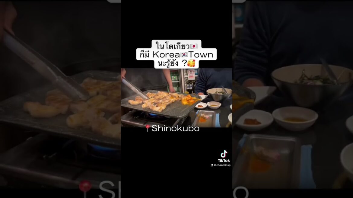 #เที่ยวญี่ปุ่น #japan#tokyo #koreatown #shinokubo #shorts #streetfood