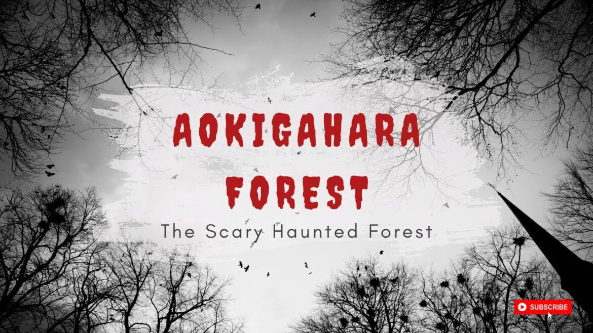 Aokigahara: The Tragic Beauty of Japan's Suicide Forest #aokigahara #japanforest