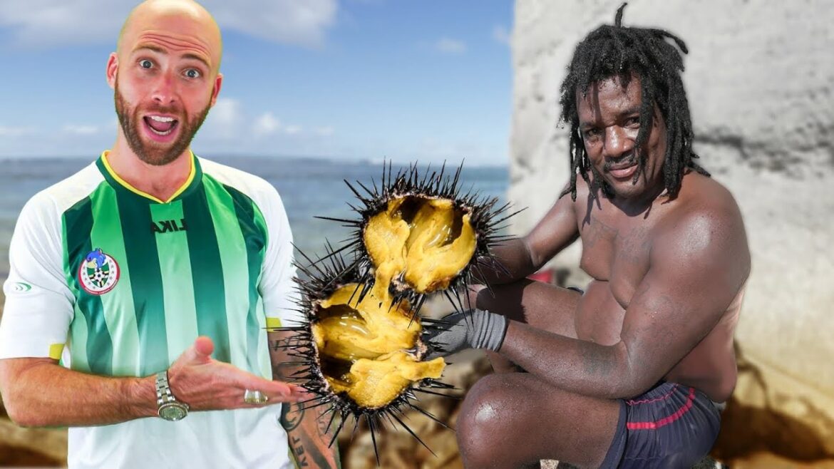 Exotic SEA URCHIN and CURRY OCTOPUS in Dominica! Exotic SEA URCHIN and CURRY OCTOPUS in Dominica!