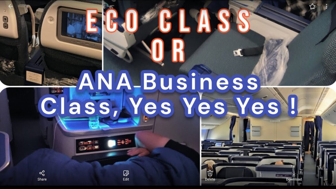ANA Business Class Flight Chicago to Tokyo,if you can budget it or upgrade somehow, do it . ANA Business Class Flight Chicago to Tokyo,if you can budget it or upgrade somehow, do it .