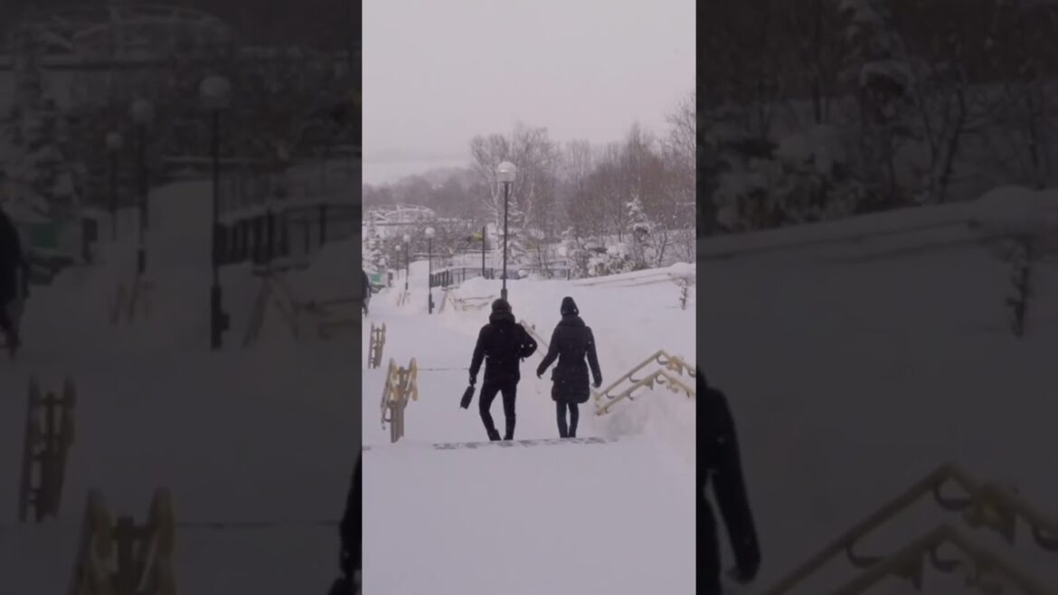 ❄️ 2023 Sapporo Adventures: 7 Must-Do Experiences ❄️ #삿포로여행 #일본여행