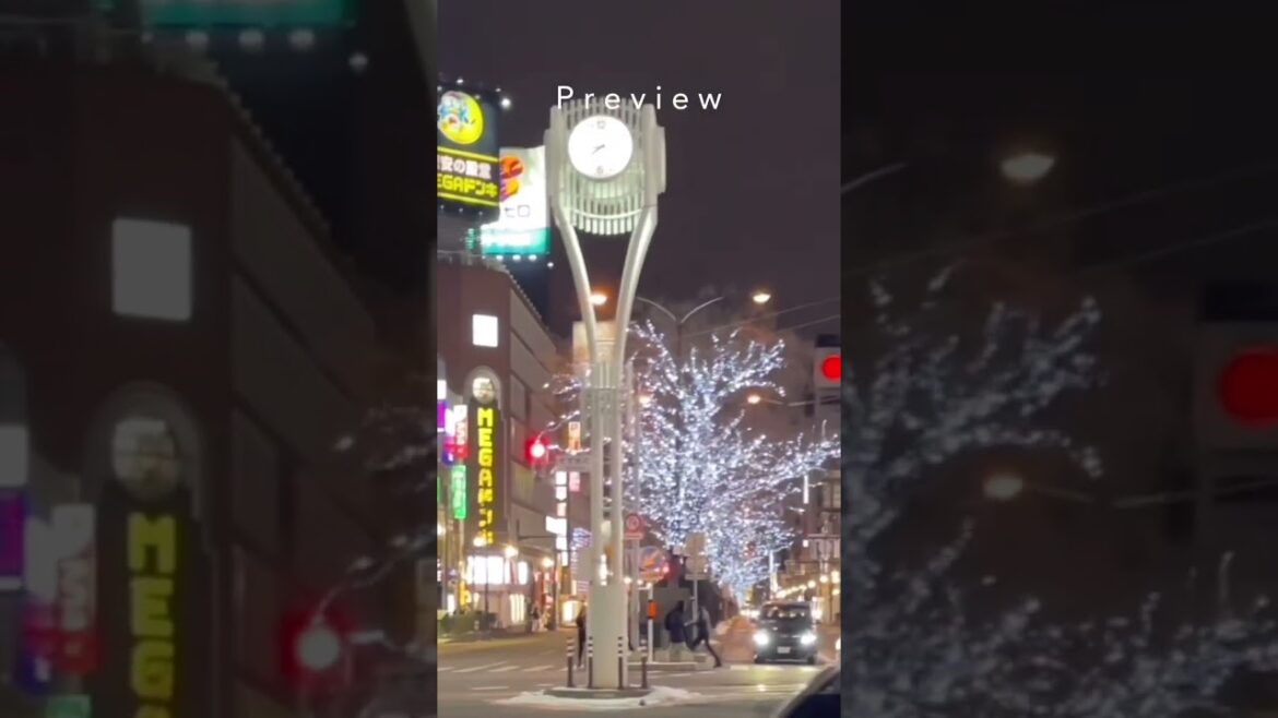 ❄️ 2023 Sapporo Adventures: 7 Must-Do Experiences ❄️ #삿포로눈축제 #삿포로눈꽃축제