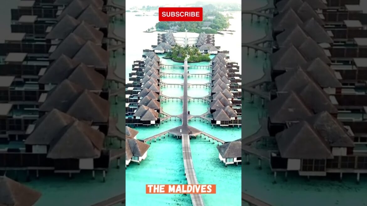 The Ultimate Guide to the Best Places to Visit in the World The Maldives #Shorts #shortsvideo