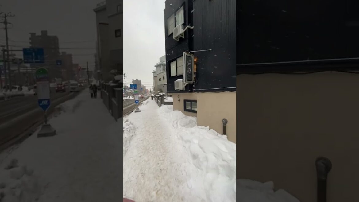 Travel, Sapporo, Hokkaido, Japan, 2023. Japan Travel Travel, Sapporo, Hokkaido, Japan, 2023. Japan Travel