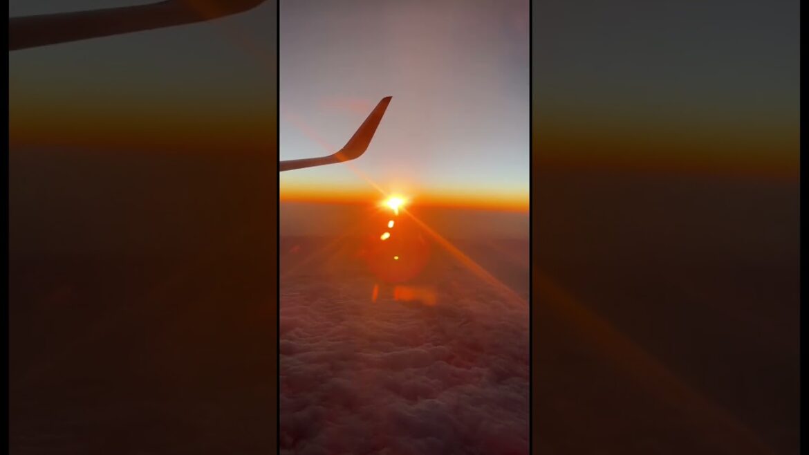 JAPAN TRIP GONE WRONG! #japan #tokyo #viral #recommended #shorts #shibuya ##tokyojapan #shibuya JAPAN TRIP GONE WRONG! #japan #tokyo #viral #recommended #shorts #shibuya ##tokyojapan #shibuya