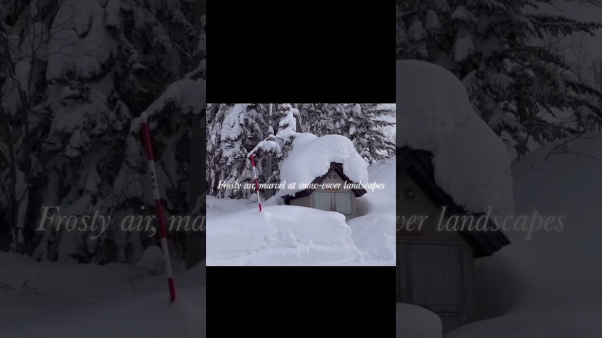 ❄️ 2023 Sapporo Adventures: 7 Must-Do Experiences ❄️  Biei Trip #삿포로 #SAPPORO