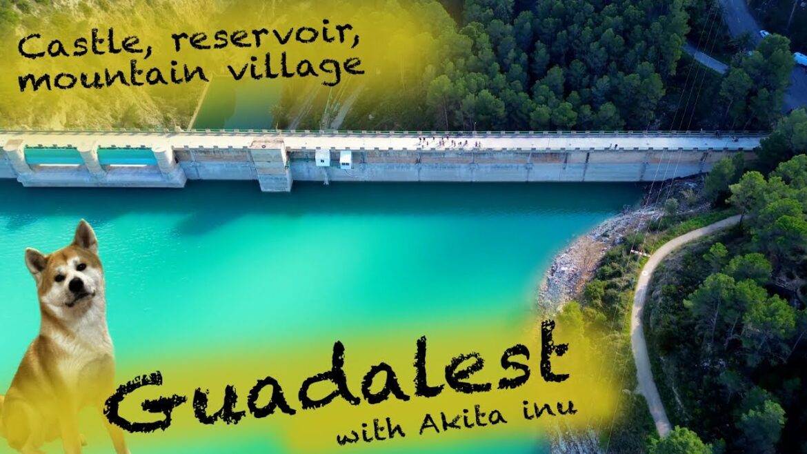 Guadalest day trip with Akita Inu dog