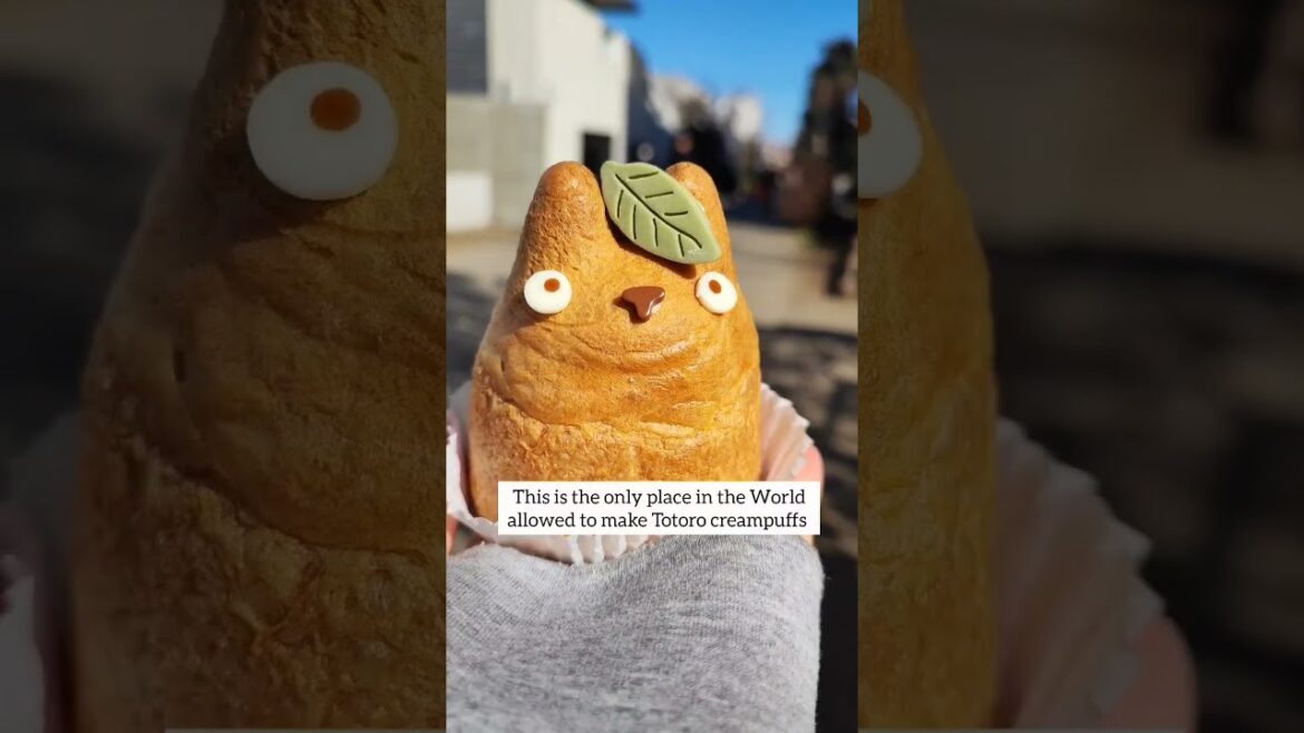 π―π΅ Totoro creampuffs in Tokyo, Ghibli fans heaven on earth π₯° #ghibli #japan #ghiblistudio #tokyo π―π΅ Totoro creampuffs in Tokyo, Ghibli fans heaven on earth π₯° #ghibli #japan #ghiblistudio #tokyo