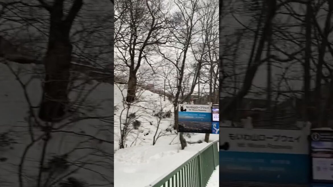 Travel, Sapporo, Hokkaido, Japan, 2023. Japan Travel Travel, Sapporo, Hokkaido, Japan, 2023. Japan Travel