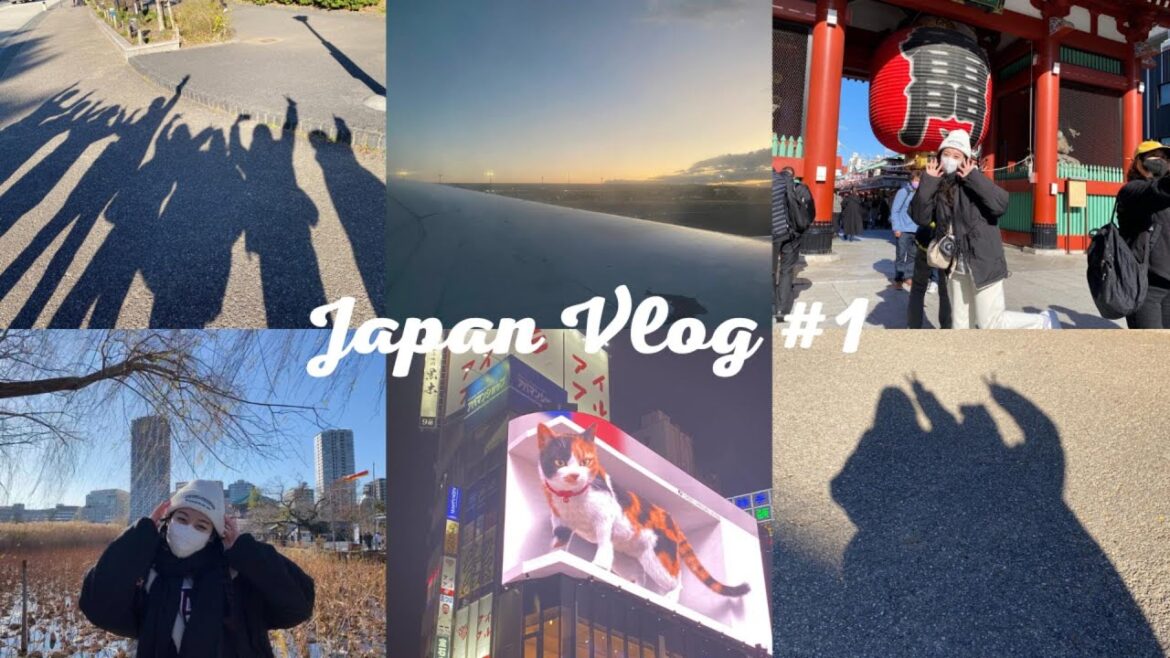 【旅遊Vlog】Japan vlog #1 /雷門淺草寺🏮/上野阿美橫町🛍️/居酒屋吃到飽🍻/3D貓貓🐈/唐吉軻德🐧/日本天氣超好拍照📷