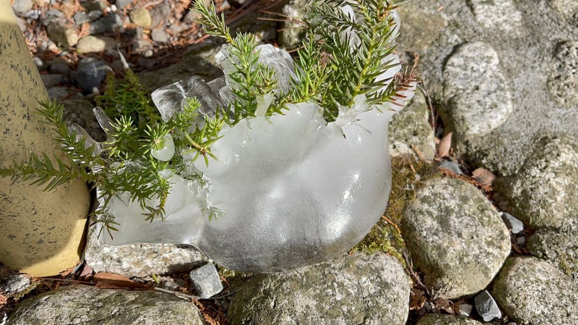 Winter Travels in Tokyo and Nagano