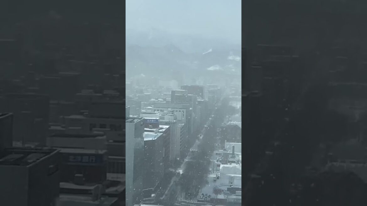 Travel, Sapporo, Hokkaido, Japan, 2023. Japan Travel Travel, Sapporo, Hokkaido, Japan, 2023. Japan Travel