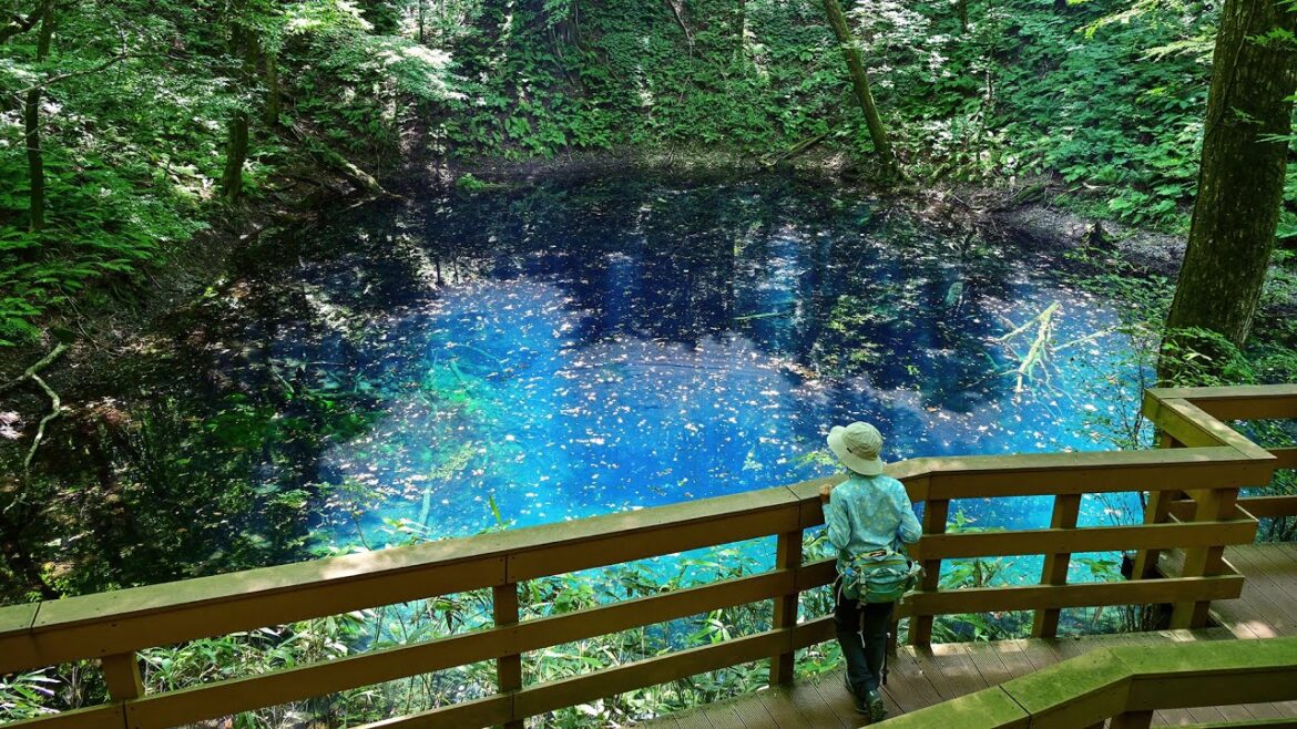 Shirakami-Sanchi (白神山地) - Juniko Lakes hike (十二湖) 2021 Aug. 03