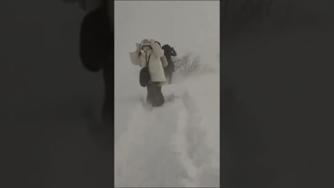 unbelievable ! japan blizzard cars houses under snow unbelievable ! japan blizzard cars houses under snow