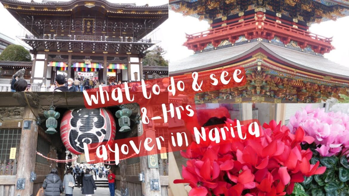 What to do in Narita Japan – 8 hrs layover – Naritasan Shinshoji Temple | Omotesando St What to do in Narita Japan - 8 hrs layover - Naritasan Shinshoji Temple | Omotesando St