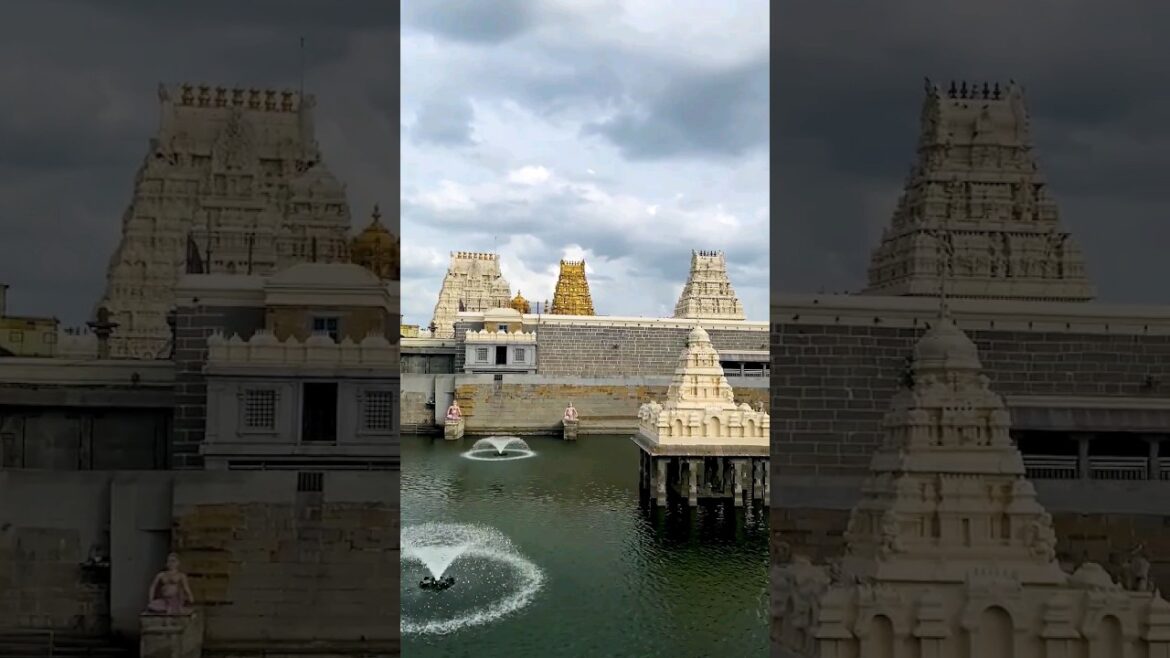 Kamakshi Amman Temple, Kanchipuram 🕉️🙏🚩🚩 #temple #templesofindia #hindu #sanatandharma #shorts