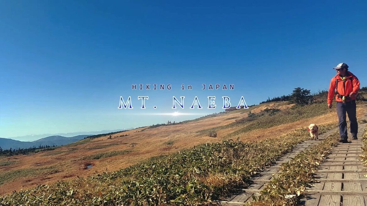 Hiking Mt.NAEBA In JAPAN – Niigata Prefecture Hiking Mt.NAEBA In JAPAN - Niigata Prefecture