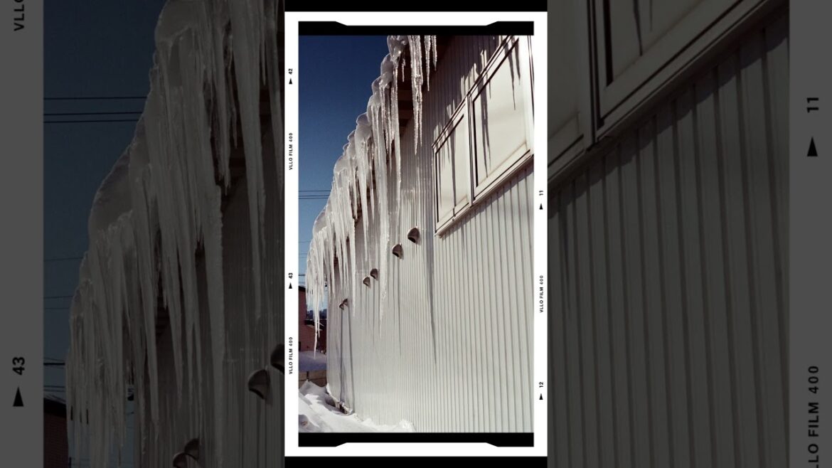 홋카이도 여행 with leica m3 #hokkaido #ice #furano #tokachidake #otaru #일본여행 #최강한파