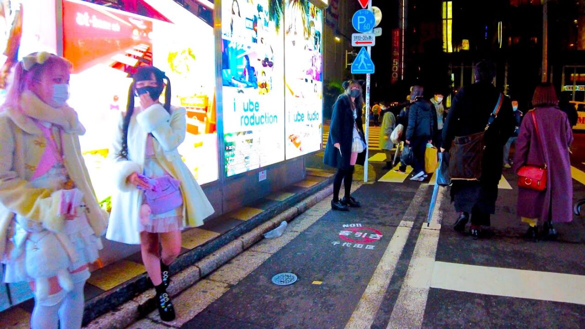 Akihabara in Tokyo 🐶🍻 Night Maid Cafe Town ♪ 💖 4K ASMR non-stop 1 hour 03 minutes Akihabara in Tokyo 🐶🍻 Night Maid Cafe Town ♪ 💖 4K ASMR non-stop 1 hour 03 minutes
