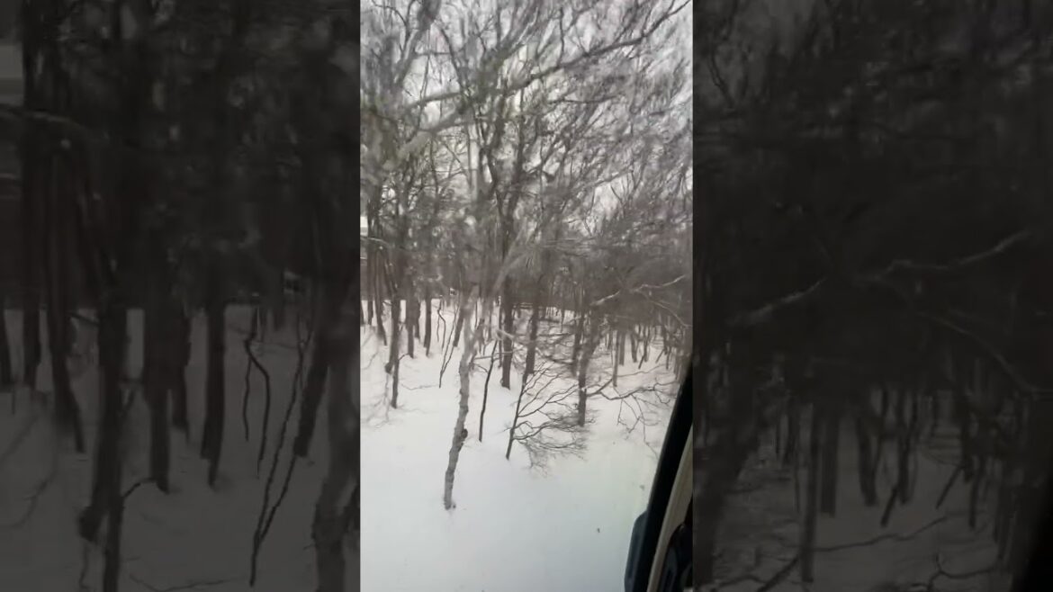 Travel, Sapporo, Hokkaido, Japan, 2023. Japan Travel Travel, Sapporo, Hokkaido, Japan, 2023. Japan Travel