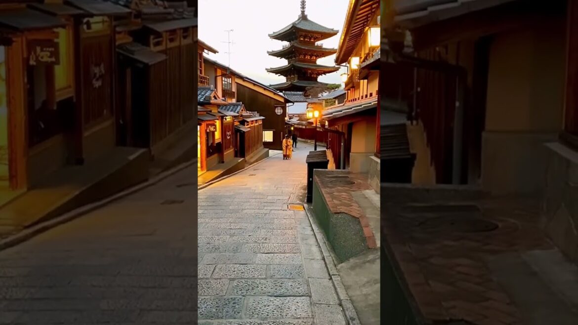 The most famous street in Japan #travel #japan