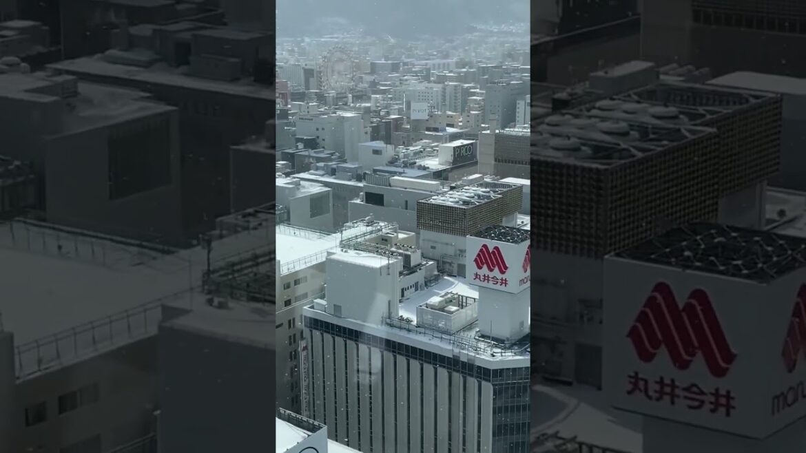 Travel, Sapporo, Hokkaido, Japan, 2023. Japan Travel