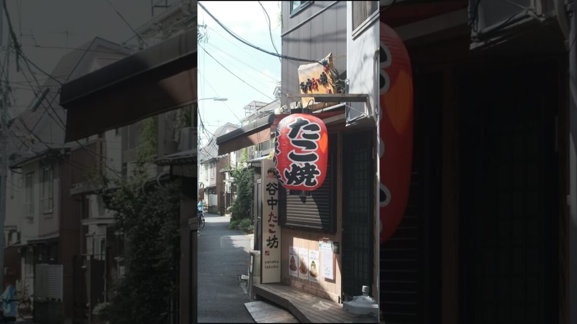 Yanaka Ginza Shopping street | must see Tokyo Japan #shortsvideo #shortsfeed