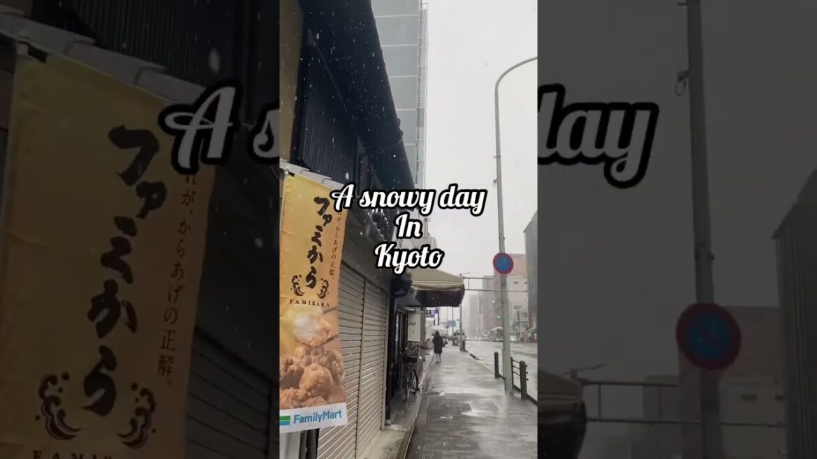 Kyoto in the snow ❄️☃️🌨️