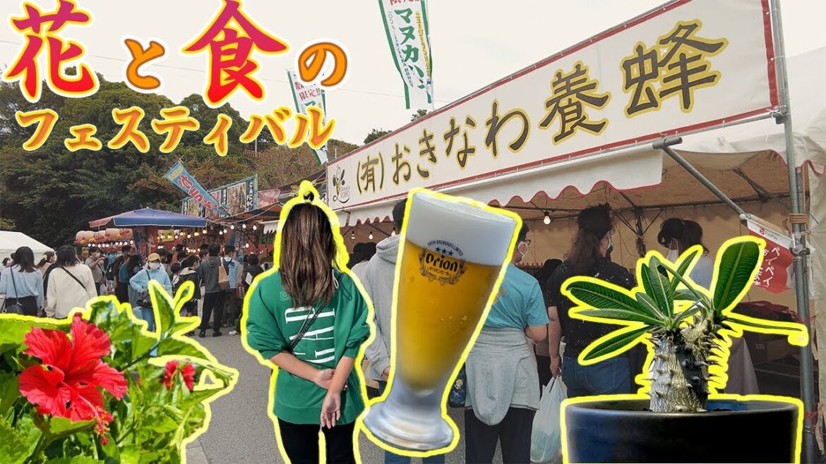 沖縄移住vlog　4年ぶり開催「花と食のフェスティバル」、ウミカジテラスを満喫