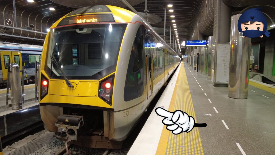 Auckland😳💎 The most advanced and cool city in New Zealand 🇳🇿 / solo travel / walking tour Auckland😳💎 The most advanced and cool city in New Zealand 🇳🇿 / solo travel / walking tour