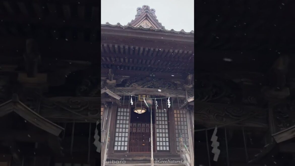 Traveling north, Suibara, Agano City I