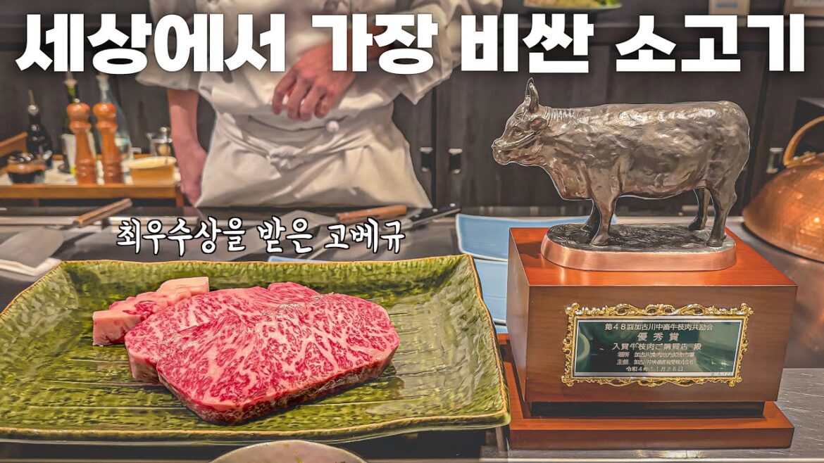 죽기 전에 꼭 먹어야 하는 세상에서 가장 비싼 소고기 고베규(feat. 일본여행 시작) - 세계여행(50)