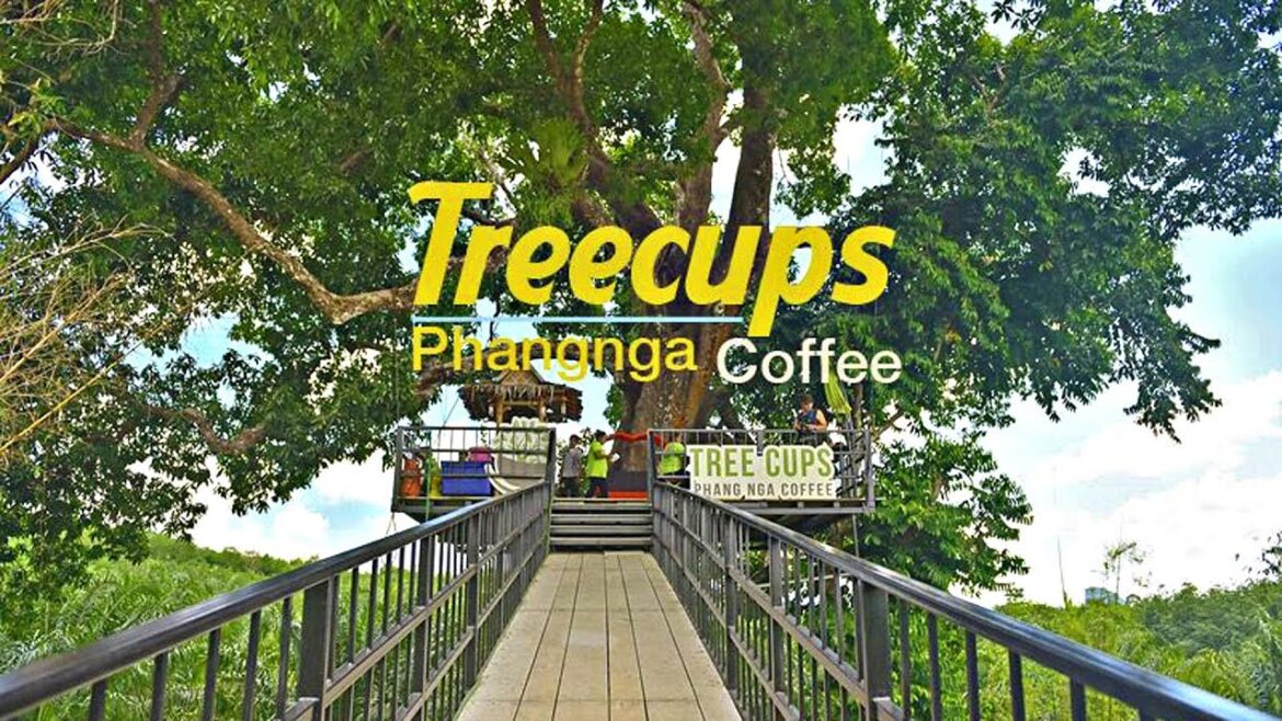 TREE CUPS PHANG NGA COFFEE - ร้านกาแฟบนต้นไม้ - ทรีคัพ คอฟฟี่ พังงา