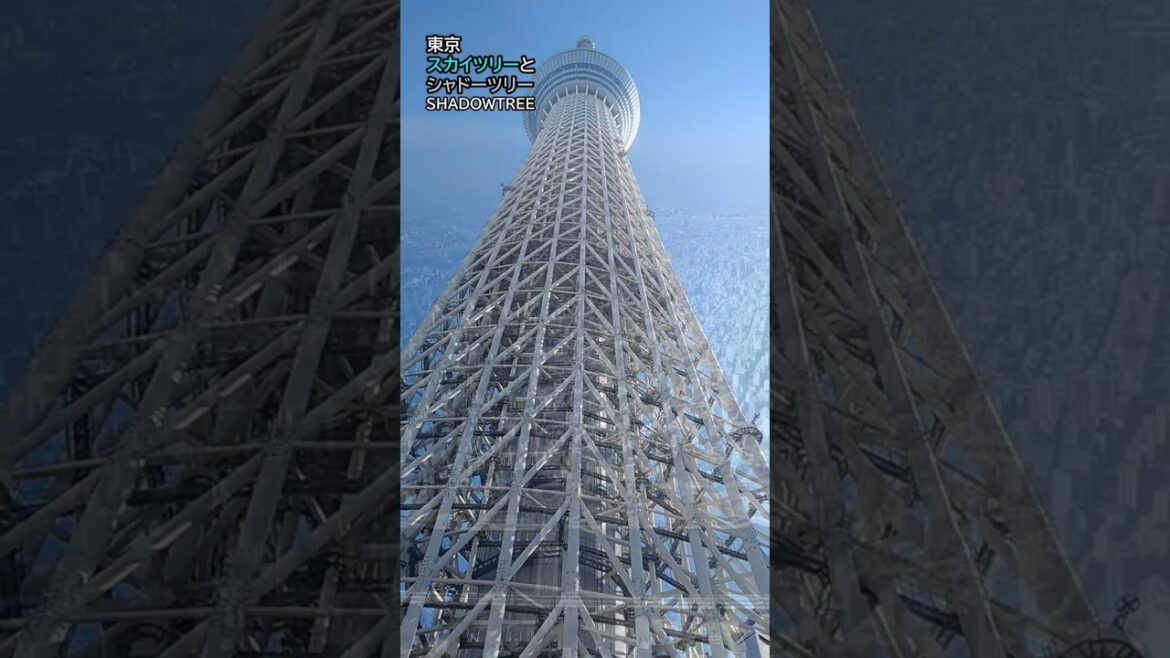 東京スカイツリーとシャドーツリー SHADOW TREE