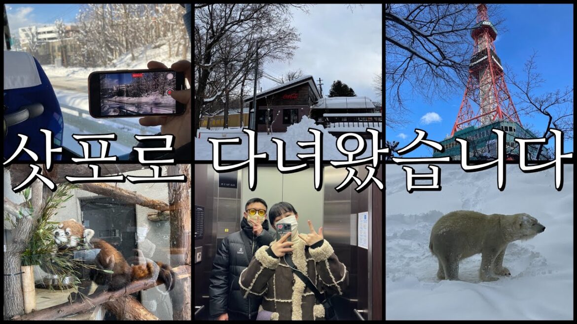 남매여행vlog. 홋카이도 다녀왔습니다🇯🇵 - 2일차 (삿포로 시내/마루야마 동물원) #vlog #브이로그 #일본 #여행