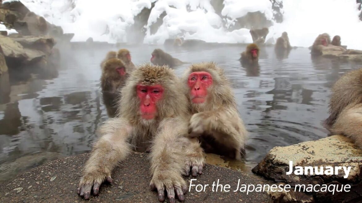 Best time to visit Japan Best time to visit Japan