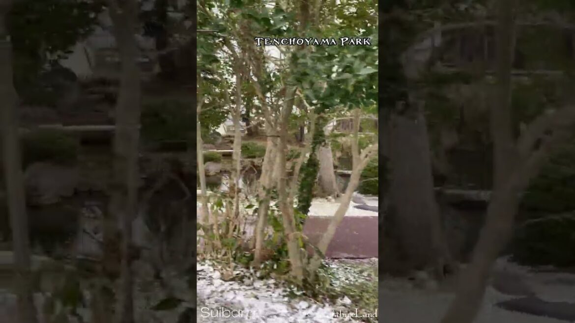 Traveling north, Suibara, Agano City II