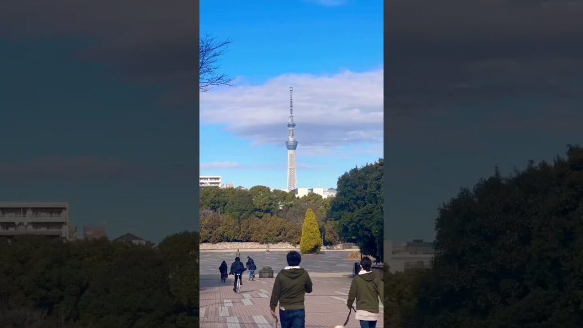 [한일커플]도쿄여행 10초요약 Japan Tokyo travel #shorts #tokyo